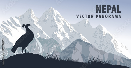 vector panorama of Nepal with himalayan monal