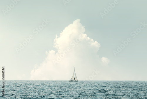 sailing in the sea