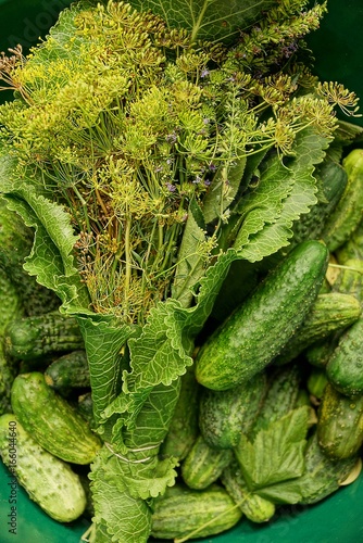 овощи,салат и растительные приправы в зелёном тазике