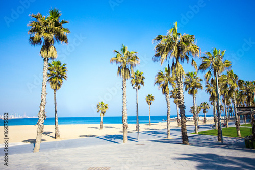 summer background - promenade, beach and palms in Barcelona
