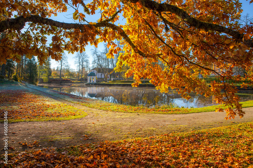 Bright colorful view of fall foliage in a park with a pond and rotunda. Golden tree at the foreground