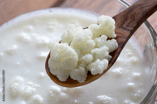 Kefir grains on a wooden spoon above a jar of kefir