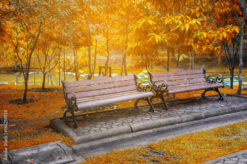 Two benches in the park in autumn