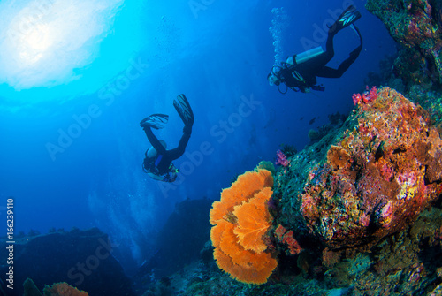 Wonderful underwater world with scuba divers on coral reef and a big colourful sea fan in South Andaman, Thailand, Scuba diving Underwater seascape concept.