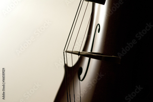 Cello strings close-up