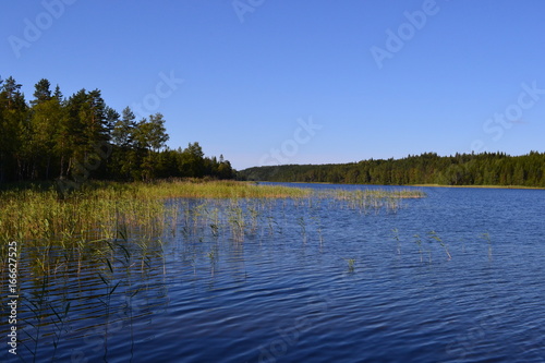 Lake in Sweden