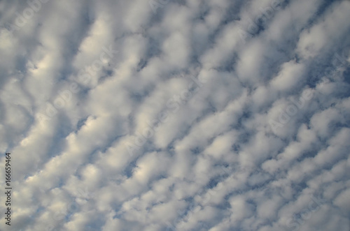 Alto cumulus radiatus clouds in a sky with no foreground.