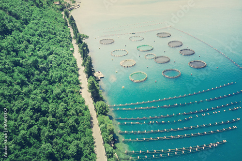 Cultivation of aquaculture. Fish farm in the sunlight, top view