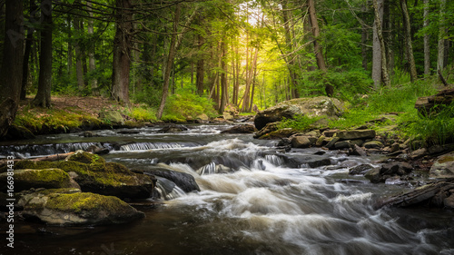 Dingman's Creek at George W. Childs State Forest Park in Dingman's Ferry, PA on a sunny summer day