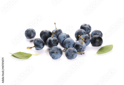 Fresh blackthorn berries pile isolated on white background