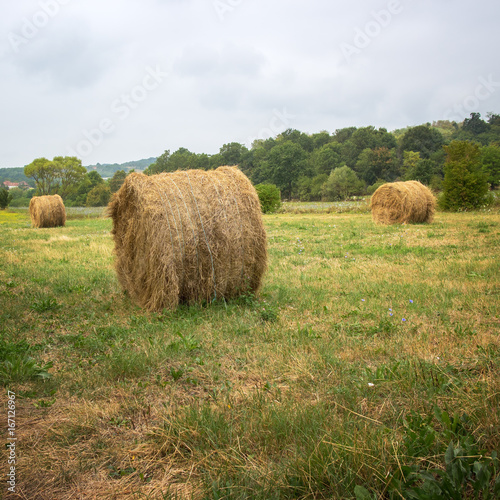 Hay bale in the foreground in rural field