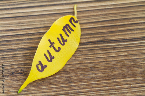 Autumn yellow leaf with inscription Autumn on the wooden background. Selective focus, closeup