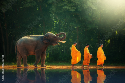 Elephant walking behind monks, Thailand 