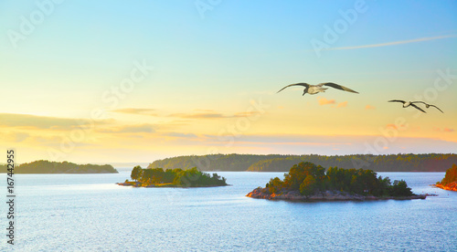 Scandinavian landscape with sea gulls
