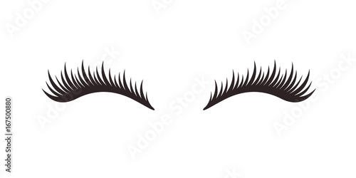 Eyelashes on white background, vector illustration.