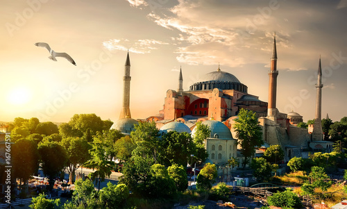 Bird and Hagia Sophia