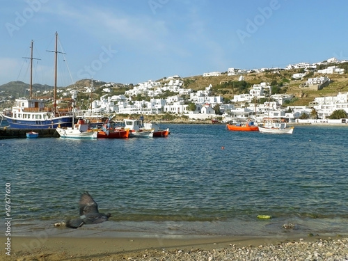 Stunning View of White Colored Houses and Blue Sea at the Old Port of Mykonos with a Flying Pigeon, Greece 