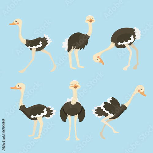 Cute ostrich cartoon collection set. 