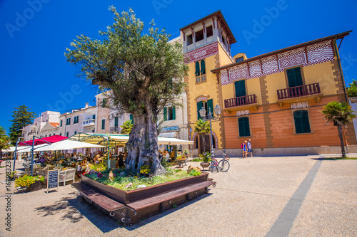 Alghero old city center with olive tree and colorful houses, Alghero, Sardinia