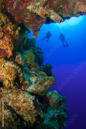 Scuba divers can be seen floating in the deep blue Caribbean sea behind a tropical coral reef. The underwater ocean adventure in paradise is enjoyed by many people around the world.
