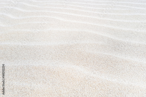 Sand on the beach as a background.