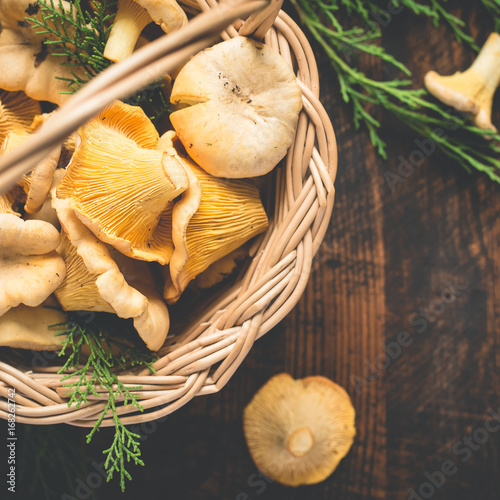 Basket with wild mushrooms chanterelles closeup on a dark background