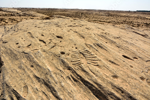 Ancient petroglyphs depicting fish and boats on a rock outcrop in Jebel Jassassiyeh in Northern Qatar.