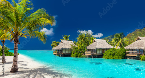 Holiday location on a tropical island with palm trees and amazing vibrant beach