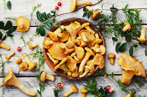 Still life with chanterelle mushrooms and herbs