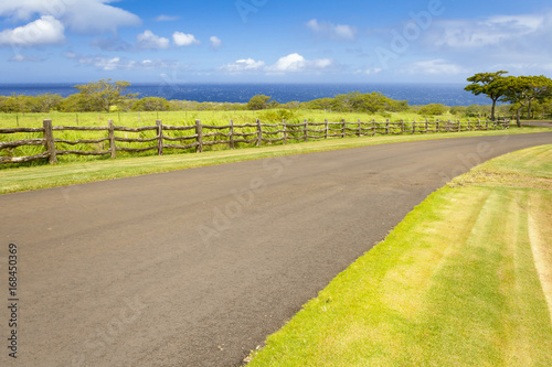 big island hawaii road to ocean