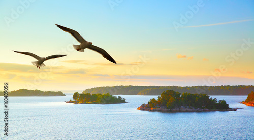 Water landscape with flying seagulls