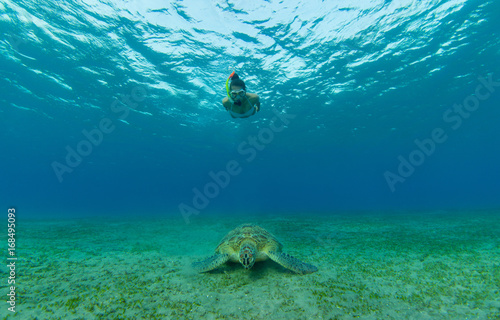 Snorkeling woman with hawksbill turtle, underwater photography.