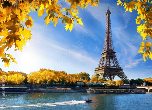 Seine and Eiffel Tower in autumn