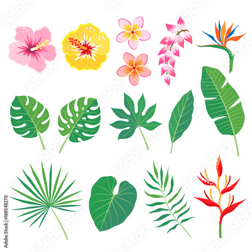 Set of tropical leaves and flowers isolated on white background