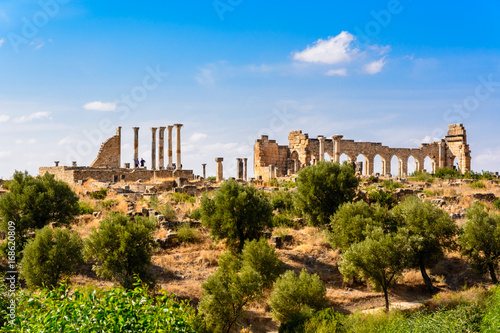 Volubilis (UNESCO world heritage) - partly excavated Roman city, Meknes, Morocco. 