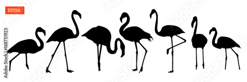 Set of silhouettes of flamingo birds