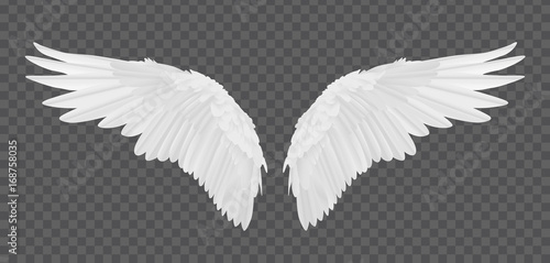 Vector realistic angel wings isolated on transparent background