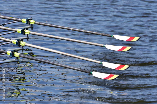 sculls