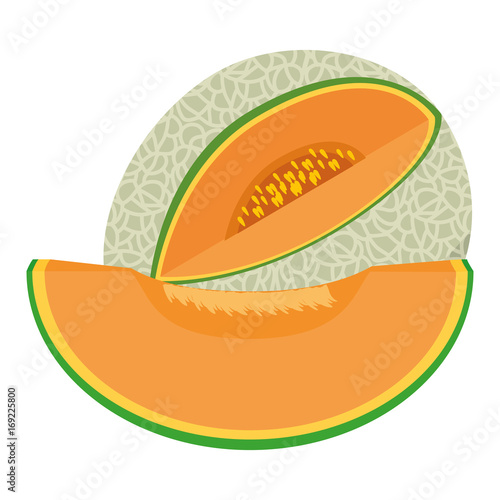 Melon delicious fruit icon vector illustration graphic design