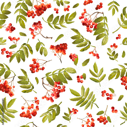 Autumn Rowan Berry Seamless Background. Floral Fall Pattern with Leaves and Berries in Vector