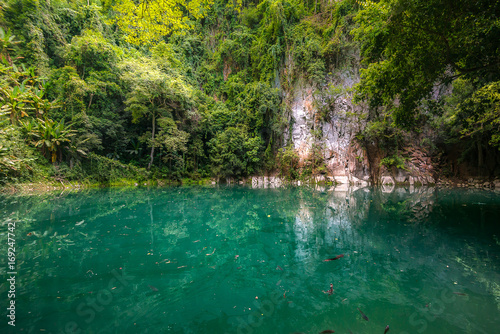 The emerald pool, Northern Thailand