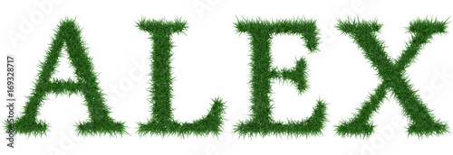Alex - 3D rendering fresh Grass letters isolated on whhite background.