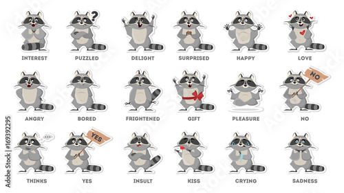 Raccoon emotions set.