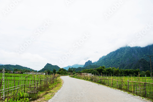 concrete road with mountain view and rice field at Vang Vieng, Loas.