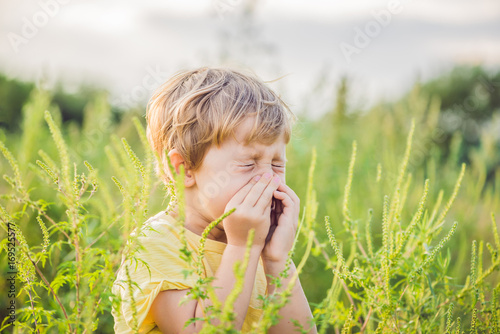 Boy sneezes because of an allergy to ragweed