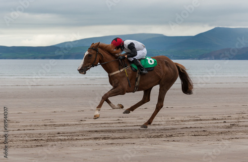 Galloping race horse on the beach