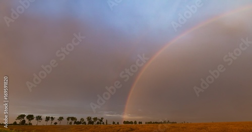 Beautiful rainbow over fields