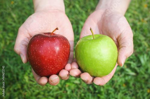 Hands holding red and green apples on green grass background with copy space