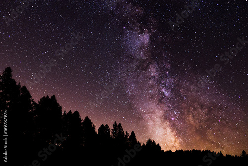 Beautiful starry sky night landscape background with pine wood silhouette and colorful Milky Way in Universe at summer on mountain outdoor.