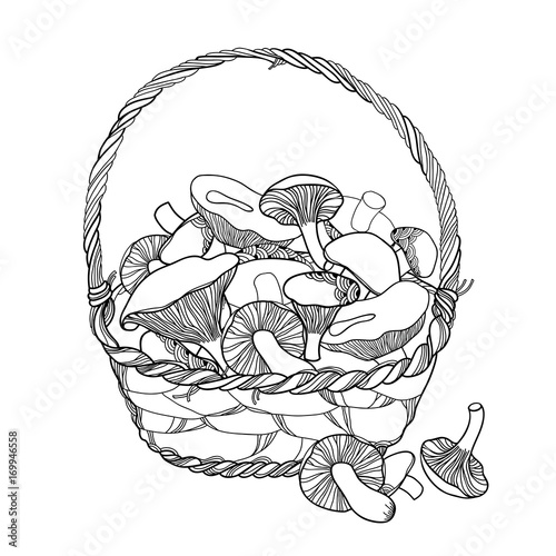 Vector wicker basket with outline forest mushroom in black isolated on white background. Boletus, chanterelles, porcini, russula mushrooms in contour style for autumn design and coloring book.